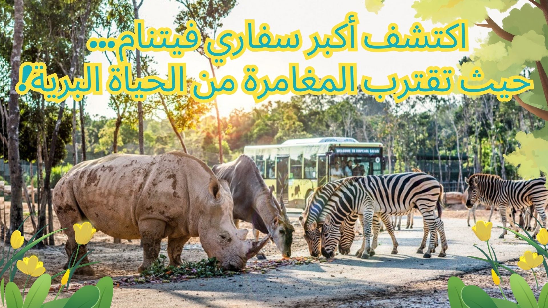 🐾 فينبيرل سفاري فوو كووك: انطلق في مغامرة داخل أكبر حديقة سفاري في فيتنام